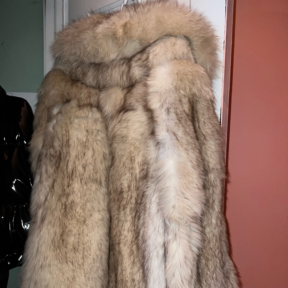 Silver fox fur